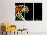 Leinwandbild 3-teilig Imposanter Tiger