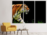 Leinwandbild 3-teilig Imposanter Tiger