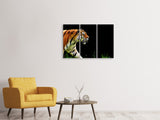 Leinwandbild 3-teilig Imposanter Tiger