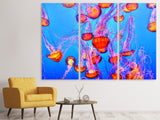 Leinwandbild 3-teilig Bunte Quallen