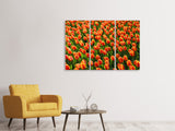 Leinwandbild 3-teilig Tulpenfeld in orange