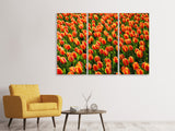 Leinwandbild 3-teilig Tulpenfeld in orange
