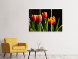 Leinwandbild 3-teilig Farbenfrohe Tulpen