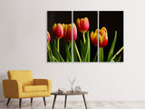 Leinwandbild 3-teilig Farbenfrohe Tulpen