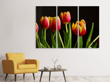 Leinwandbild 3-teilig Farbenfrohe Tulpen