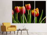 Leinwandbild 3-teilig Farbenfrohe Tulpen