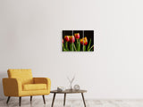 Leinwandbild 3-teilig Farbenfrohe Tulpen