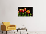 Leinwandbild 3-teilig Farbenfrohe Tulpen