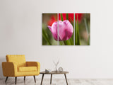 Leinwandbild 3-teilig Tulpe pretty in pink