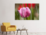 Leinwandbild 3-teilig Tulpe pretty in pink