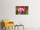 Leinwandbild 3-teilig Tulpe pretty in pink