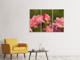 Leinwandbild 3-teilig Die Rosenknospe