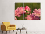 Leinwandbild 3-teilig Die Rosenknospe