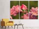 Leinwandbild 3-teilig Die Rosenknospe