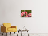 Leinwandbild 3-teilig Die Rosenknospe