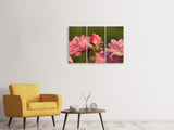 Leinwandbild 3-teilig Die Rosenknospe