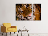 Leinwandbild 3-teilig Tiger Gesicht