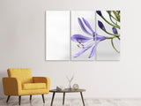 Leinwandbild 3-teilig Lilien Blüte in lila
