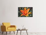 Leinwandbild 3-teilig Lilien Blüte in orange XL