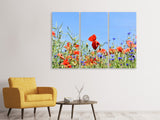 Leinwandbild 3-teilig Der Mohn in der Blumenwiese