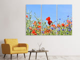 Leinwandbild 3-teilig Der Mohn in der Blumenwiese