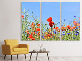 Leinwandbild 3-teilig Der Mohn in der Blumenwiese