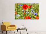 Leinwandbild 3-teilig Der wilde Mohn XL