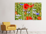 Leinwandbild 3-teilig Der wilde Mohn XL