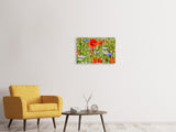 Leinwandbild 3-teilig Der wilde Mohn XL