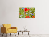 Leinwandbild 3-teilig Der wilde Mohn XL