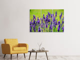 Leinwandbild 3-teilig Schöner Lavendel