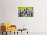 Leinwandbild 3-teilig Schöner Lavendel