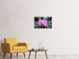 Leinwandbild 3-teilig Wunderschöne Lotus