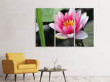 Leinwandbild 3-teilig Die Seerose in pink
