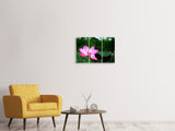 Leinwandbild 3-teilig Lotus in der Natur