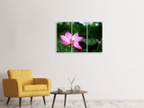 Leinwandbild 3-teilig Lotus in der Natur