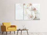 Leinwandbild 3-teilig Fantastische Orchideen