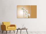 Leinwandbild 3-teilig Weisse Orchideen XL