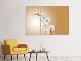 Leinwandbild 3-teilig Weisse Orchideen XL
