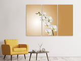 Leinwandbild 3-teilig Weisse Orchideen XL
