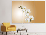 Leinwandbild 3-teilig Weisse Orchideen XL