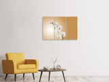 Leinwandbild 3-teilig Weisse Orchideen XL
