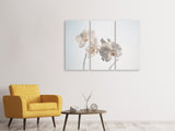 Leinwandbild 3-teilig Anmutige Orchideen