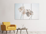 Leinwandbild 3-teilig Anmutige Orchideen