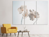 Leinwandbild 3-teilig Anmutige Orchideen