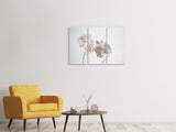 Leinwandbild 3-teilig Anmutige Orchideen