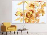 Leinwandbild 3-teilig Gelbe Orchidee