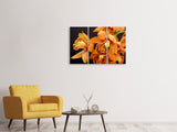 Leinwandbild 3-teilig Orchideen mit orangen Blüten