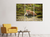 Leinwandbild 3-teilig Kitten in der Natur