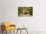 Leinwandbild 3-teilig Kitten in der Natur